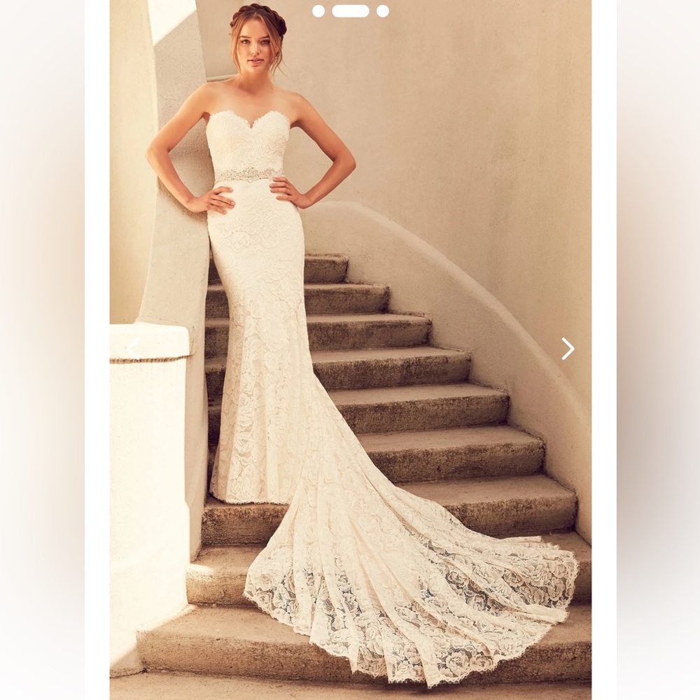 Paloma Blanca - #4797
